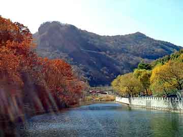 新澳门二四六天天彩，永平网站建设